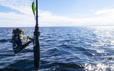 Why rent a private fishing charter?