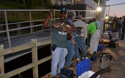 Timing Your Deep Sea Fishing Adventure: Part 2