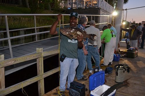 Timing Your Deep Sea Fishing Adventure: Part 2
