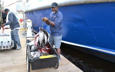 Timing Your Deep Sea Fishing Adventure: Part 1