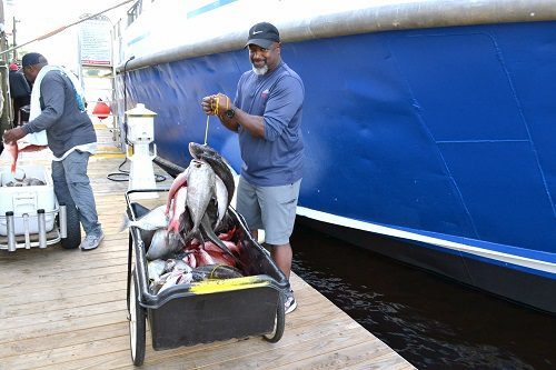 Timing Your Deep Sea Fishing Adventure: Part 1