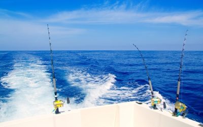 Making the Most of Your Fishing Charter Experience