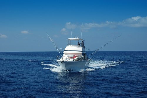 fishing charter
