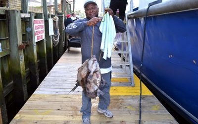Differences Between Myrtle Beach Fishing Poles And Rods