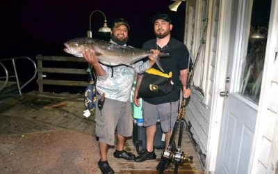 A Beginner’s Guide to Deep Sea Fishing: Reeling in the Big Catches