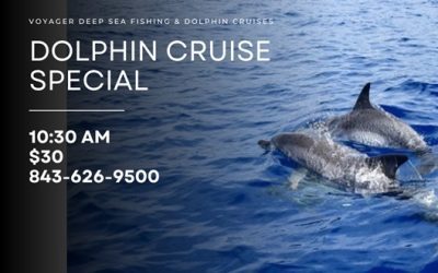 Unforgettable Family Adventure: The Ultimate Dolphin Cruise Experience