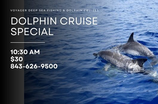 Unforgettable Family Adventure: The Ultimate Dolphin Cruise Experience