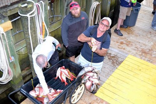 fishing-in-Myrtle-Beach