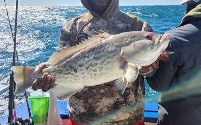 Reasons Every Child Should Experience Deep Sea Fishing