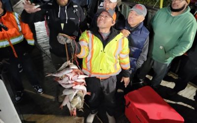 The Ultimate Guide to Deep Sea Fishing Charters: What to Expect
