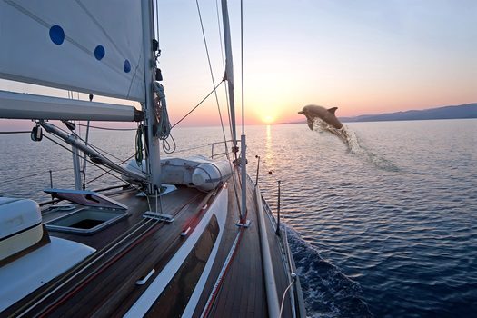 Dolphin cruise in Myrtle Beach SC