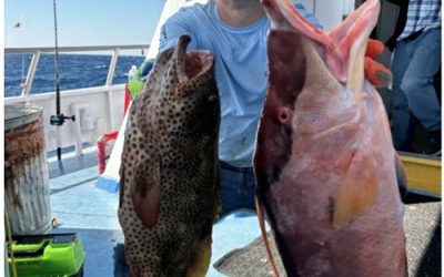 Why a Fishing Charter Is the Ultimate Father’s Day Gift