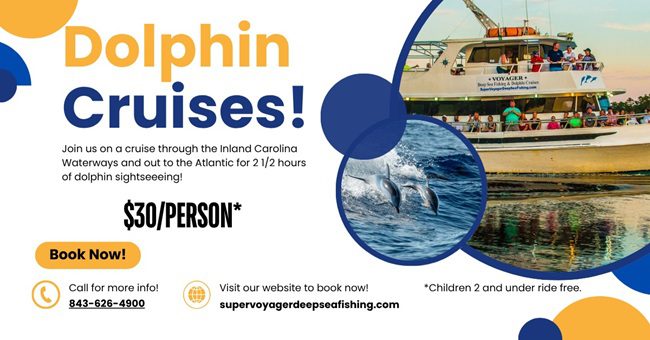 Dolphin Cruise: What to Pack, Expect, and Enjoy on the Big Day