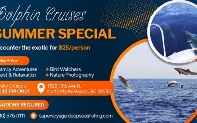 Dolphin Cruise Tour: The Adventure You Didn’t Know You Needed