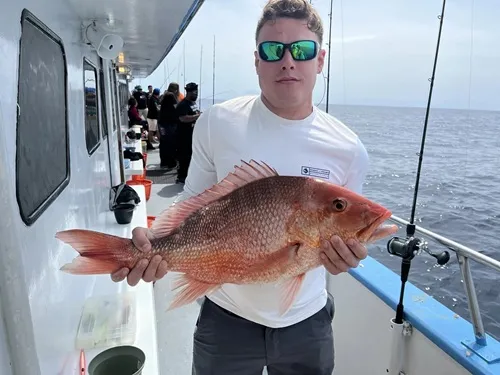 What Types Of Fish Can You Catch On a Deep Sea Fishing Trip