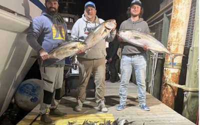 What You Need for Your Deep Sea Fishing Adventure