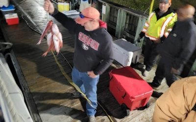 Is Deep Sea Fishing Worth Your Money?