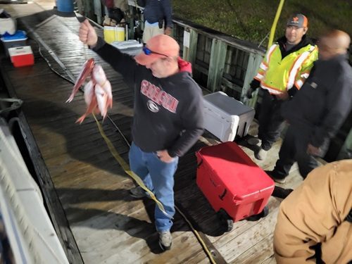 Is Deep Sea Fishing Worth Your Money?