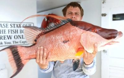 Deep Sea Fishing Charters: Fall Adventures on the Open Water