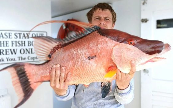 Deep Sea Fishing Charters: Fall Adventures on the Open Water