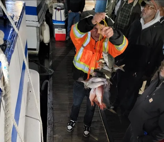 Deep Sea Fishing: Top Fish to Catch and Bait to Use