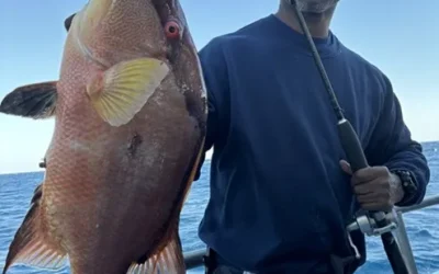 Where to Stay When You Plan Your Fall Fishing Trip
