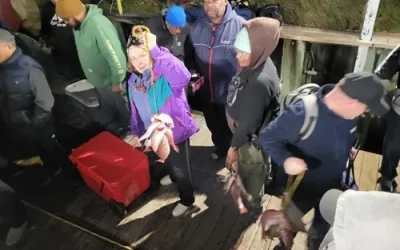 Why Family Fishing Charters Are the Ultimate Vacation Adventure