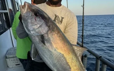 Fall Fishing Trip: Why Fall Is the Best Time to Cast a Line