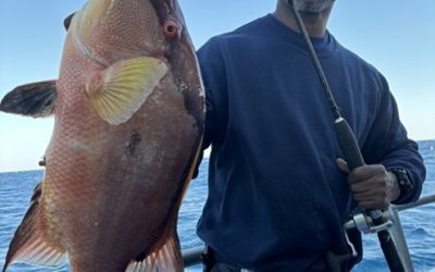 How to Prepare for a Successful Winter Sea Fishing Trip