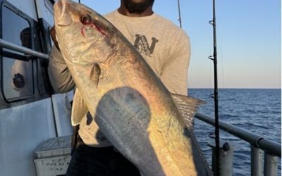 Unforgettable Deep Sea Fishing Adventures This Winter