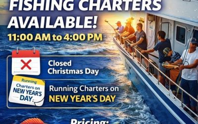 Half-Day Fishing Charters Available — Ring in the New Year on the Water!