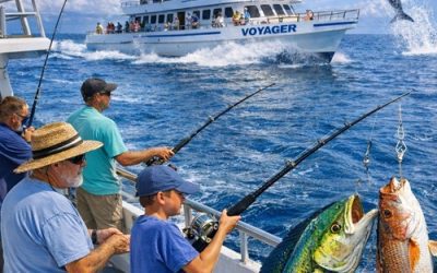 What To Expect When You Go Deep Sea Fishing