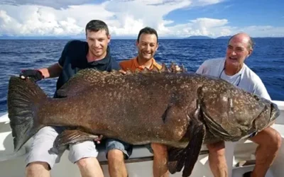 Planning A Family Fishing Trip? Read This!