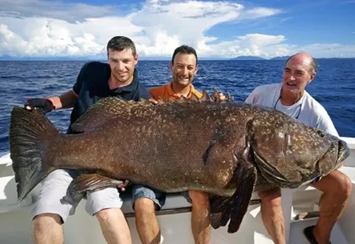Planning A Family Fishing Trip? Read This!