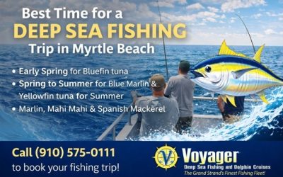 When Is The Best Time For A Deep Sea Fishing Trip in Myrtle Beach