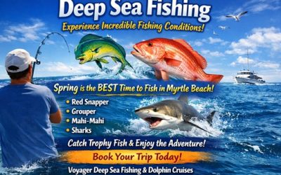 Deep Sea Fishing: The Ultimate Spring Break Adventure