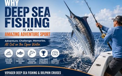 Why Deep Sea Fishing Is an Amazing Adventure Sport