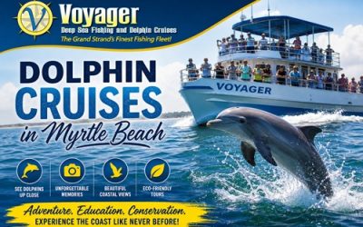 Dolphin Cruises in Myrtle Beach: Discover Coastal Wildlife Up Close