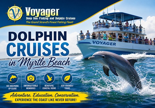Dolphin Cruises in Myrtle Beach: Discover Coastal Wildlife Up Close