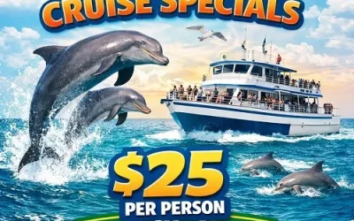 Enjoy a Dolphin Watch Adventure and Marine Life in Myrtle Beach