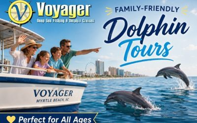 Family-Friendly Fun: Why Dolphin Tours Are Perfect for All Ages