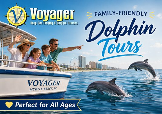 Dolphin tours in Myrtle Beach SC Dolphin tours in Myrtle Beach SC