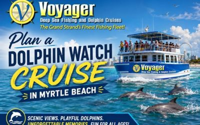 Plan a Dolphin Watch Cruise for Your Myrtle Beach Getaway