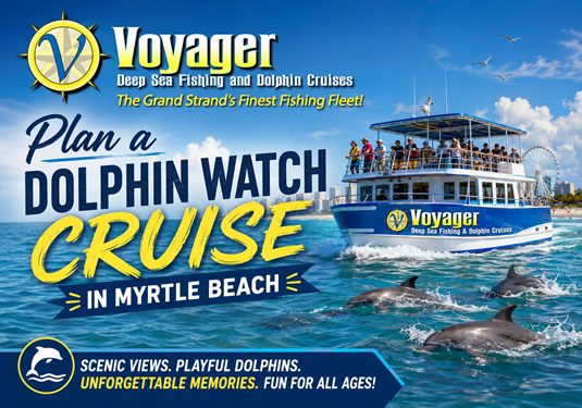 Plan a Dolphin Watch Cruise for Your Myrtle Beach Getaway