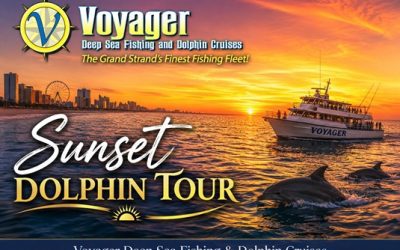 Sunset Dolphin Tour: A Relaxing Summer Evening on the Water