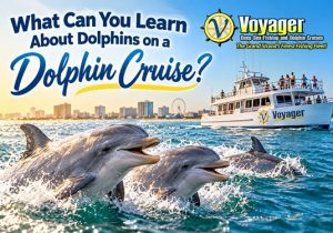 Dolphin cruise in Myrtle Beach SC