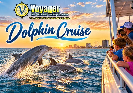 Dolphin cruise in Myrtle Beach SC Dolphin cruise in Myrtle Beach SC