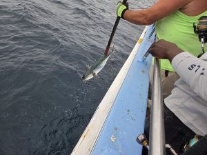 fishing charter