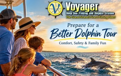 How to Prepare for a Dolphin Tour in Myrtle Beach: Tips for a Better Trip