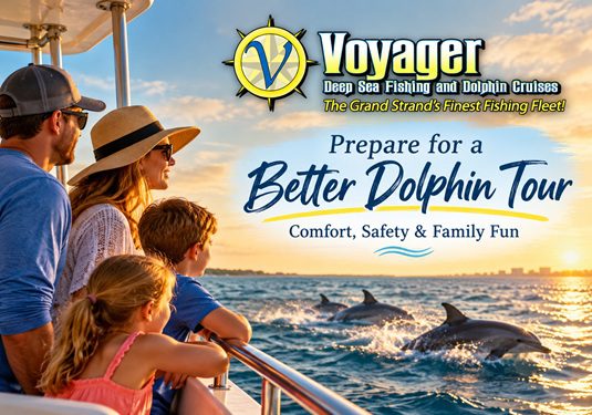 Dolphin tour in Myrtle Beach SC